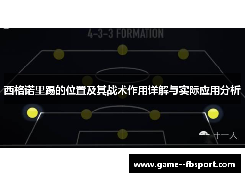 西格诺里踢的位置及其战术作用详解与实际应用分析